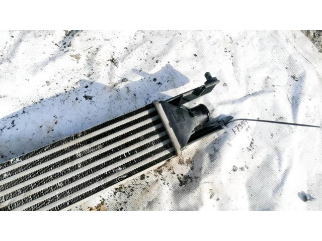 Интеркулер     Fiat Punto (188) 1.3