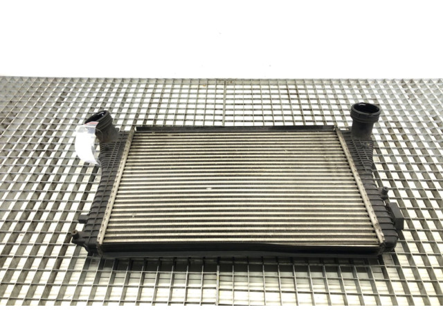 Интеркулер Skoda Octavia Mk2 (1Z)