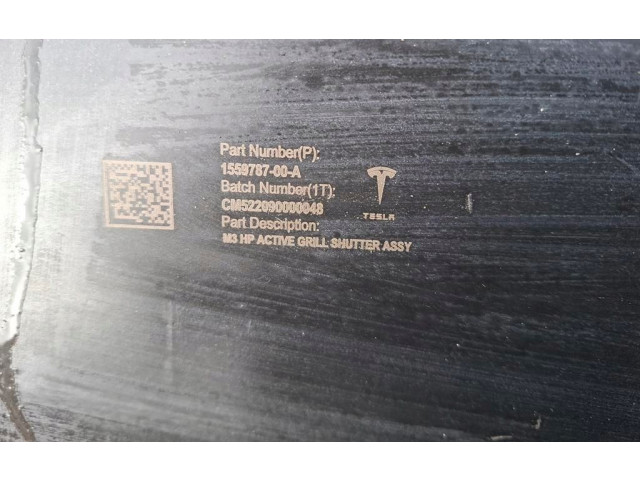 Вентилятор радиатора 155978700ATesla3, 155978700A Tesla Model 3