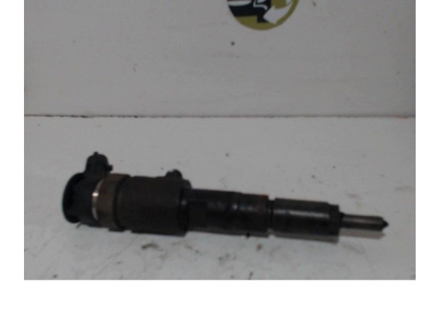 Vstřikovač Citroen C3