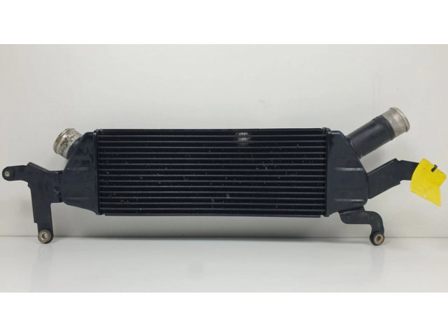Интеркулер     Citroen C-Crosser 2.2