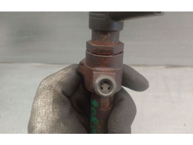 Форсунка 4M5Q9F593AD, 1355051 Ford Focus KKDA