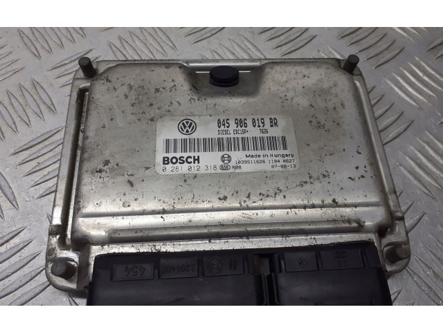 Блок управления двигателя 045906019BR Skoda Fabia Mk1 (6Y)