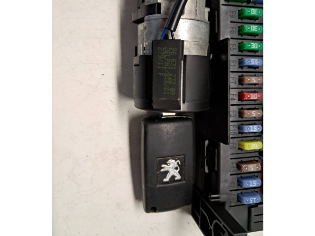 Řídící jednotka 9676643580 Peugeot RCZ 2010