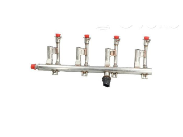 Топливная рампа DS7G9D280DC Ford Kuga II