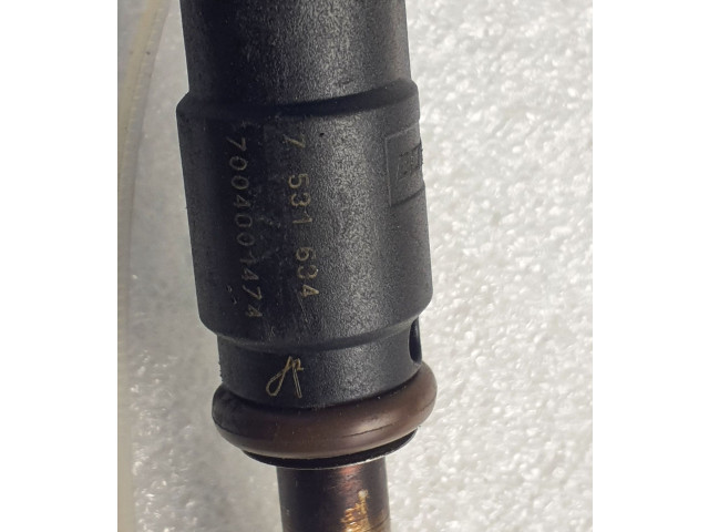 Форсунка 7004001474, 7531634 BMW Z4 E89