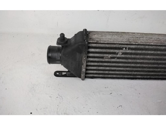 Интеркулер  51783791, 192A8000   Fiat Bravo 