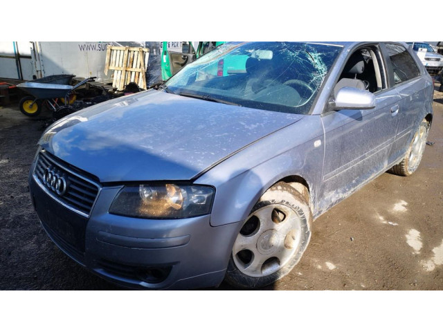Масляный насос   1134603, 11346-03  Audi A3 S3 8P 1.9