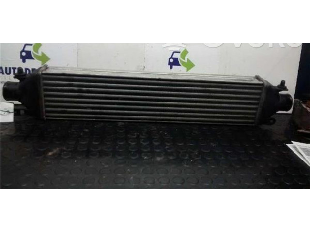 Интеркулер     Fiat Bravo - Brava 