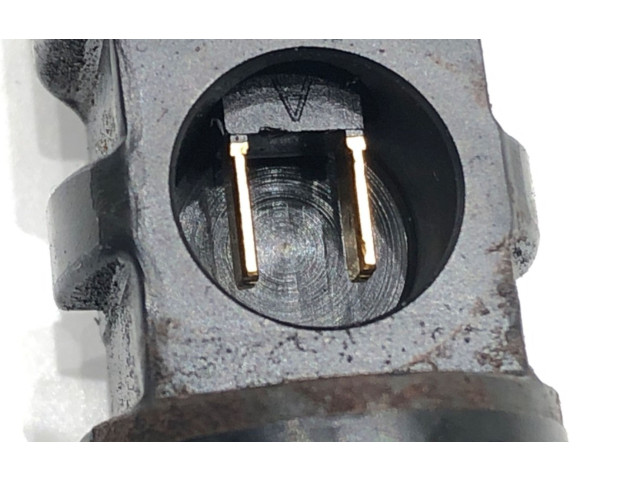 Vstřikovač 166000897R Renault Clio III