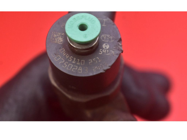 Форсунка 0445110251, 0445110251    Volvo V70   