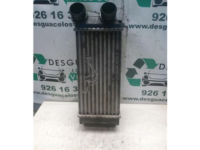 Интеркулер 9HZDV6TED4, 9800291280 Citroen C4 I