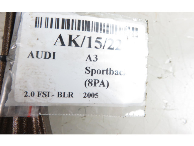 Поршень с шатуном BLR Audi A3 S3 8P
