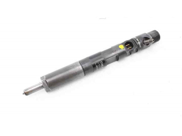 Форсунка 166000897R    Renault Clio III   