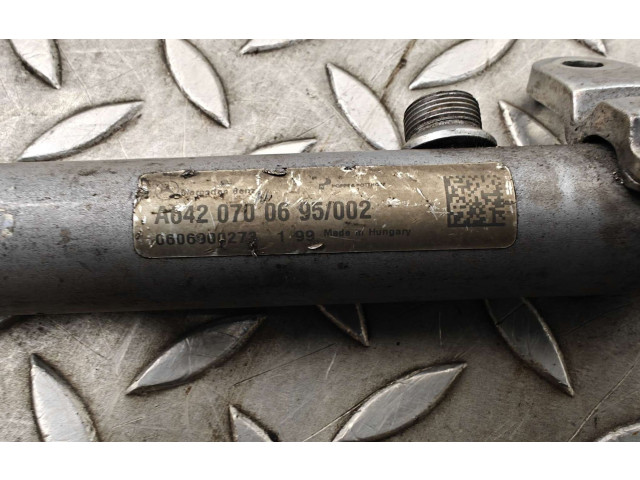 Топливная рампа A6420700695   Mercedes-Benz ML W164   для двигателя OM 642.940