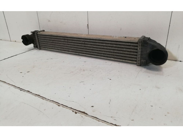 Интеркулер  A16950000   Mercedes-Benz ML W164 