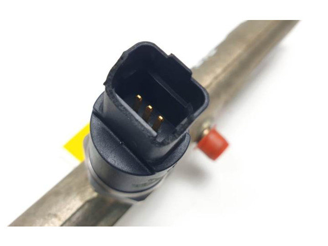 Топливная рампа 0445214019 Citroen Xsara для двигателя RHY