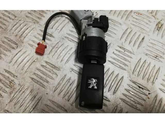 Řídící jednotka 9801556080, 9666912580 Peugeot RCZ 2013