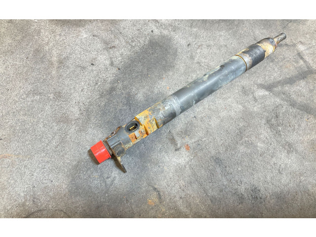 Форсунка 9686191080, 08006L9896    Peugeot Expert   