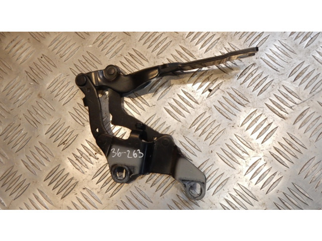 Петля (петли) капота двигателя