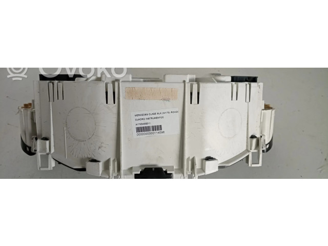Přístrojová deska Mercedes-Benz SLK R170 2001 A1705405511, 110080095003
