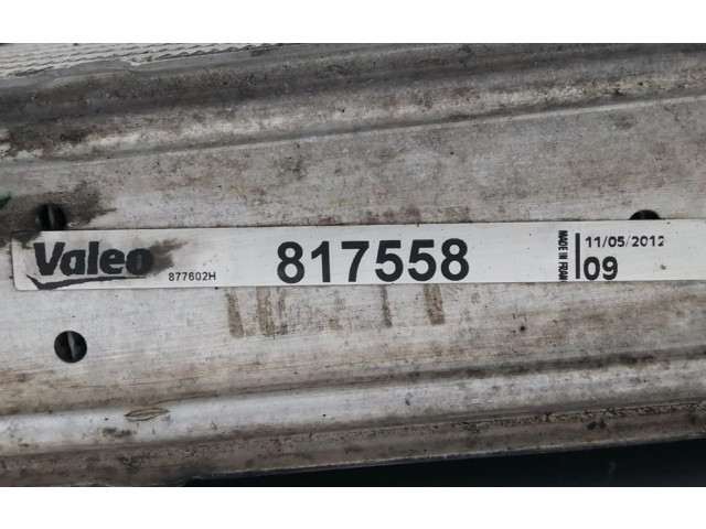 Интеркулер Seat Ibiza III (6L)