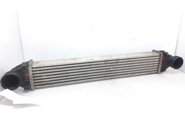 Интеркулер  A1695000000   Mercedes-Benz A W169 