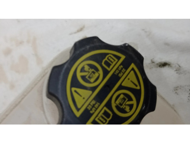 Расширительный бачок охлаждающей жидкости