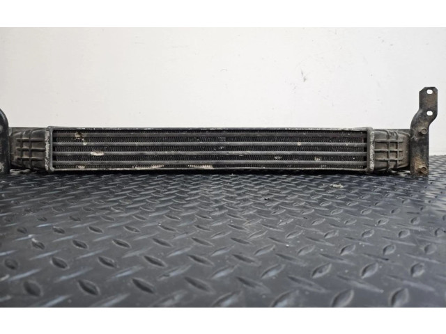 Интеркулер Seat Alhambra (Mk1)