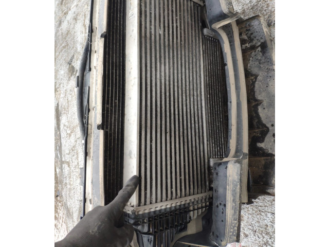 Интеркулер     Mercedes-Benz R W251 