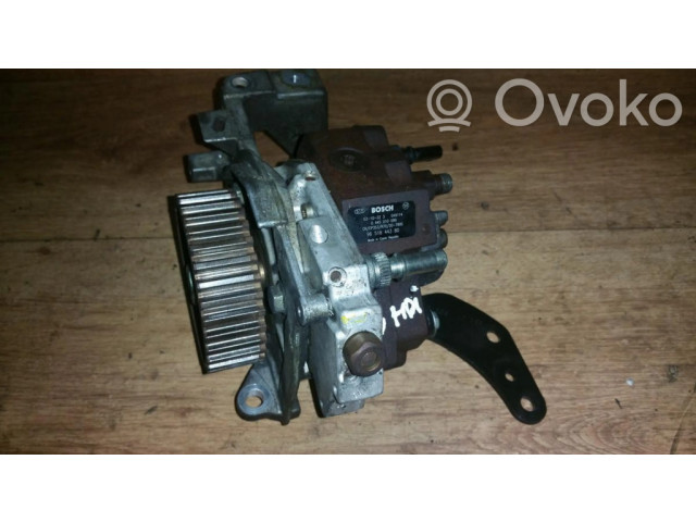 Vstřikovací čerpadlo 9651844380, 049114 05010089 Citroen Xsara Picasso pro naftový motor 1.6