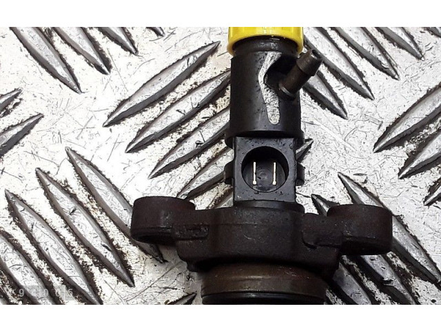 Жиклер (жиклеры) (форсунка (форсунки) 9688438580, ejbr06001d Citroen C5