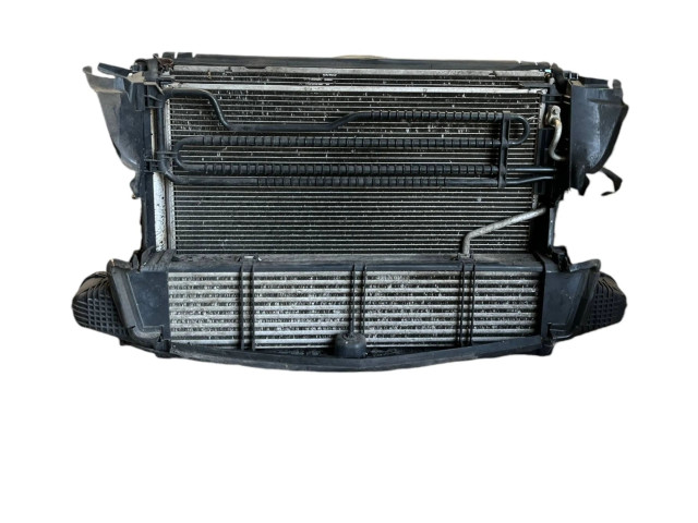 Pojistková skříňka Комплект радиатора A2045000393, 3135103789 Mercedes-Benz C W204 2012