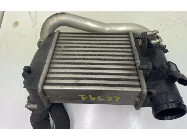 Интеркулер     Citroen C3 