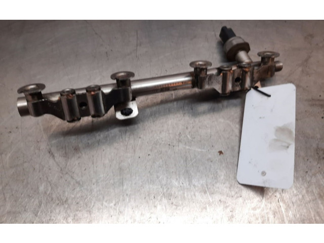 Vstřikovací lišta 175204385R, 1502510142 Nissan Pulsar HRA2DDT