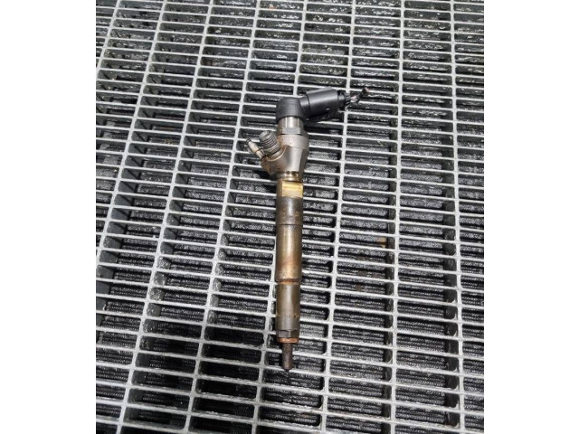 Жиклер (жиклеры) (форсунка (форсунки) H8201100113, 166006212R Dacia Duster