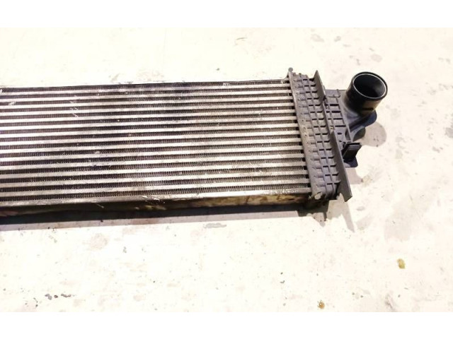 Интеркулер A1645001900, A1645001900 Mercedes-Benz R W251