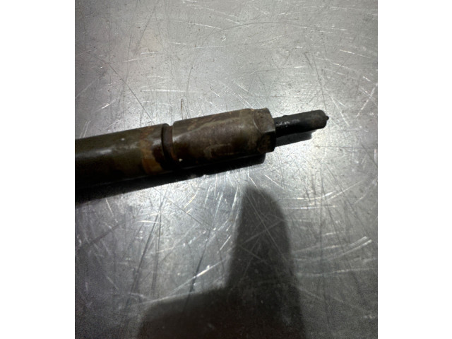 Форсунка 0445110239 Citroen Berlingo