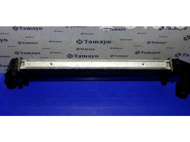 Интеркулер  8200409045   Dacia Sandero 