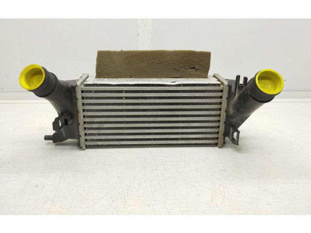 Интеркулер H1BG6K775AC Ford Ecosport