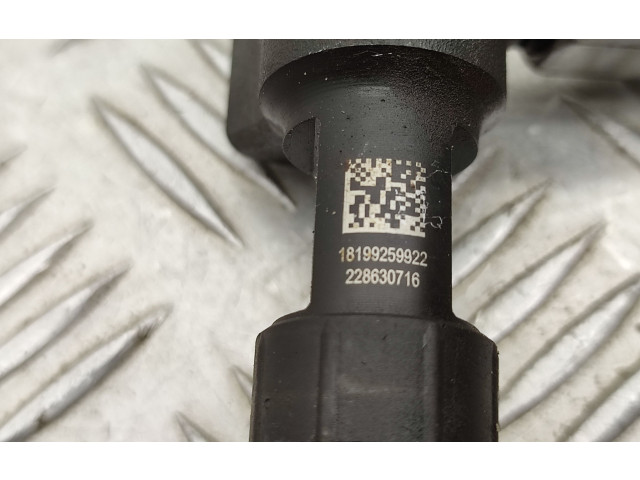 Комплект системы впрыска топлива 9674300080, 9674984080    Ford Kuga II  xrmc 