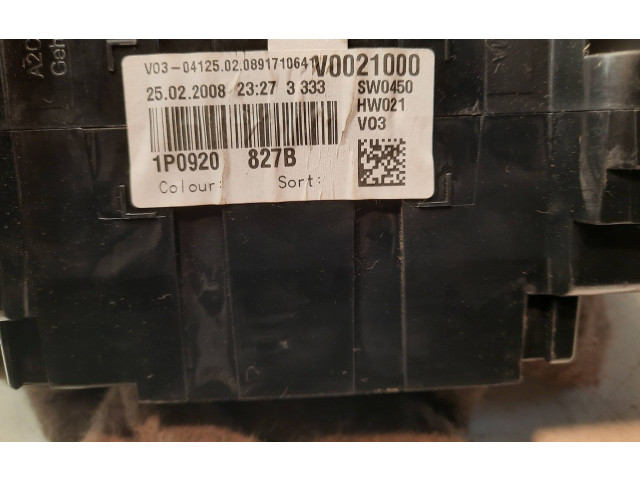 Přístrojová deska  Seat Leon (1P) 2008 1P0920827B  