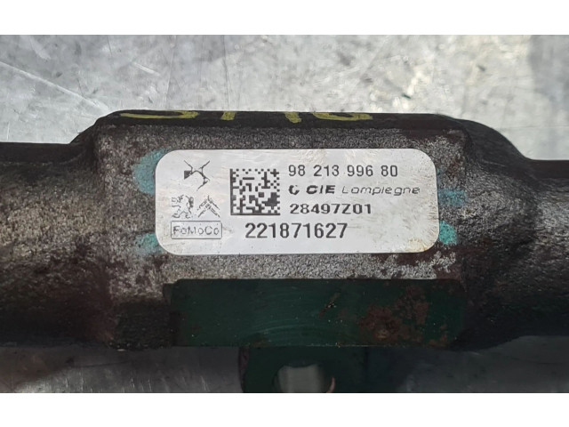 Топливная рампа 9821399680, 221871627   Peugeot Partner III  