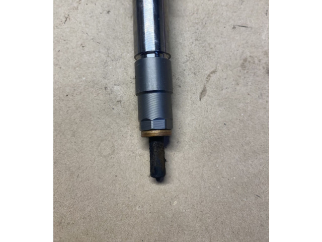 Форсунка 0445876882, 8200636333 Dacia Duster II K9K874