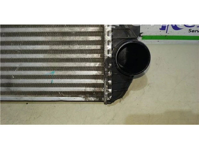 Интеркулер     Ford Transit -  Tourneo Connect 