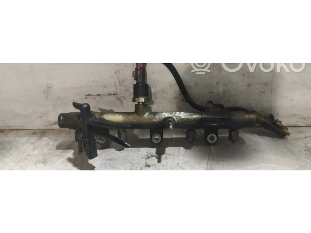 Vstřikovací lišta 0445214019, 005368 Citroen Xsara 1.6 RHYDW10TD