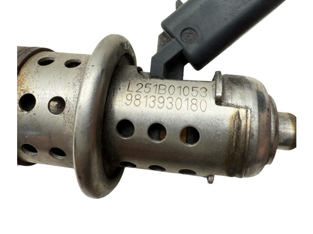 Vstřikovač 9813930180, 251B01053 Citroen Berlingo DV5RC