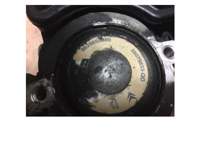 Турбина Насос усилителя руля Peugeot 206 CC 4007LG, 4007LG для двигателя EW10J4(RFN)