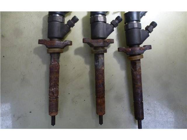 Форсунка 445110188, PRECIOPORINYECTOR    Citroen Xsara Picasso   