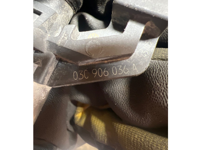 Форсунка 03C906036A Volkswagen Golf Plus